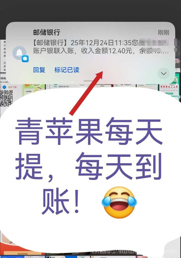 青苹果纯广告零撸首码：0.2元一条不用养机12元起提秒到(2)