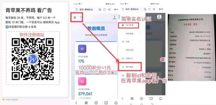 青苹果纯广告零撸首码：0.2元一条不用养机12元起提秒到(3)