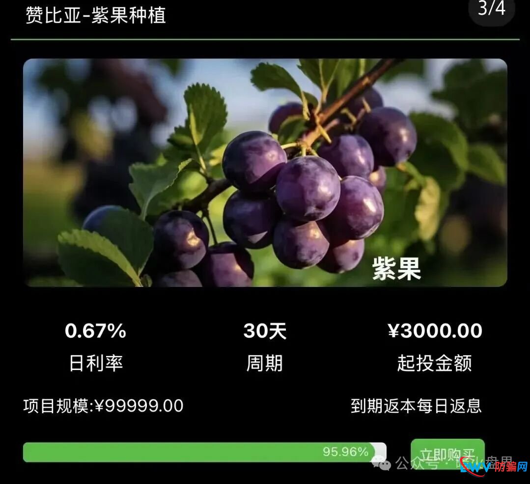 资金盘预警:“华洋绿投”以海外农业为幌子,日息0.67%起,崩盘前最后的提现机会(2) 资金盘预警:“华洋绿投”以海外农业为幌子,日息0.67%起,崩盘前最后的提现机会(2)