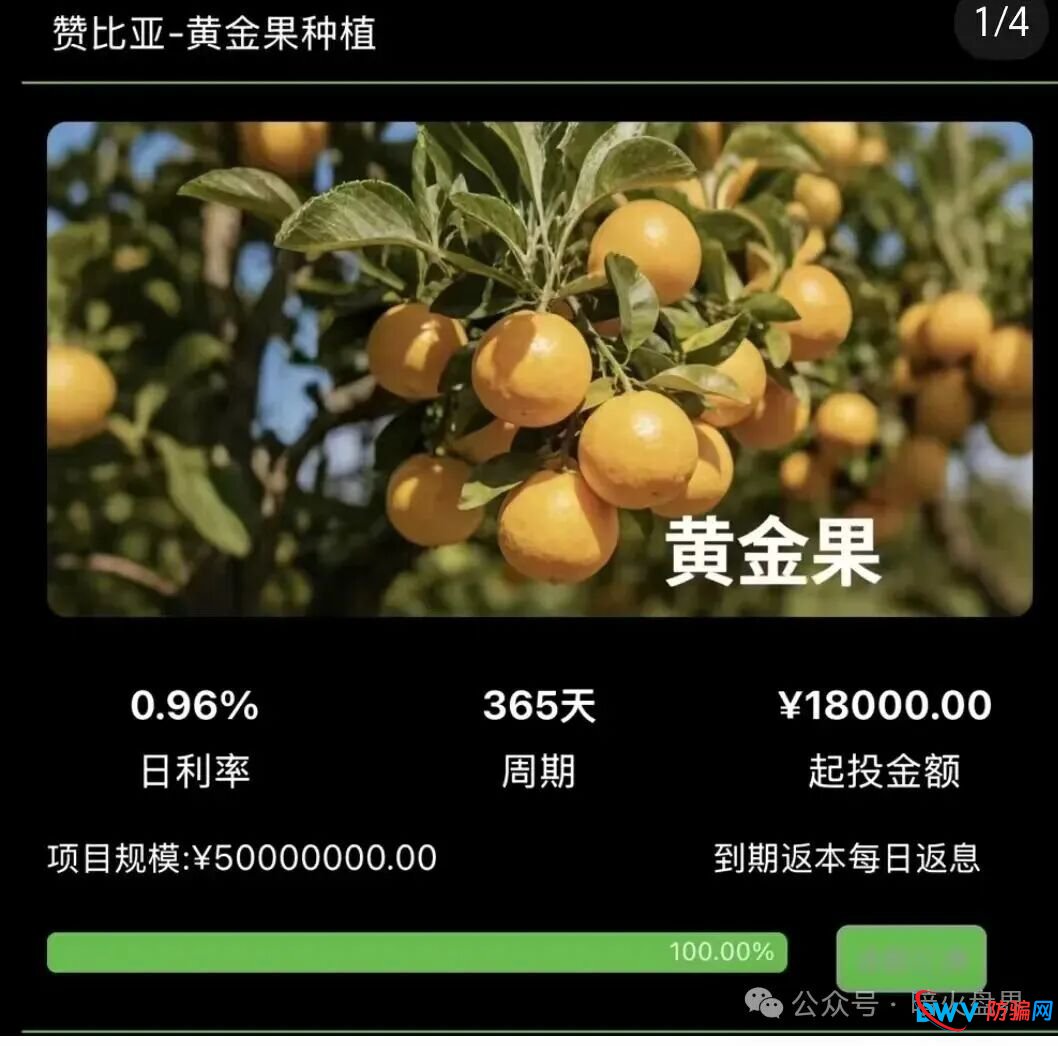 资金盘预警:“华洋绿投”以海外农业为幌子,日息0.67%起,崩盘前最后的提现机会(4) 资金盘预警:“华洋绿投”以海外农业为幌子,日息0.67%起,崩盘前最后的提现机会(4)