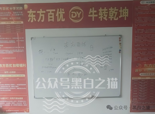 起底“东方百优”幕后总指挥莎某｜混迹盘圈5年，从DMM到时尚生活，她转移了多少团队？(4)